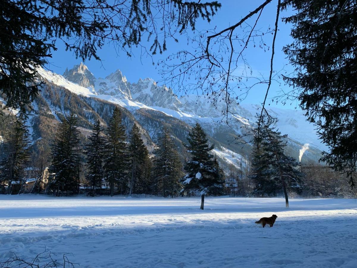 Apartment Maya, La Praz, Chamonix Mont Blanc Exteriör bild